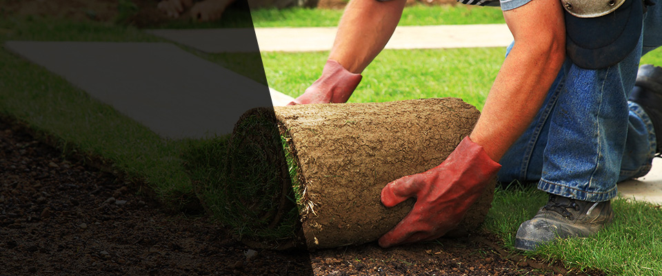 Roslindale Landscapers